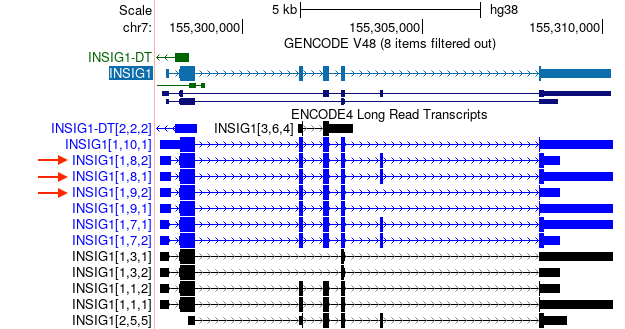 Screenshot showing ENCODE4 long-read transcripts track