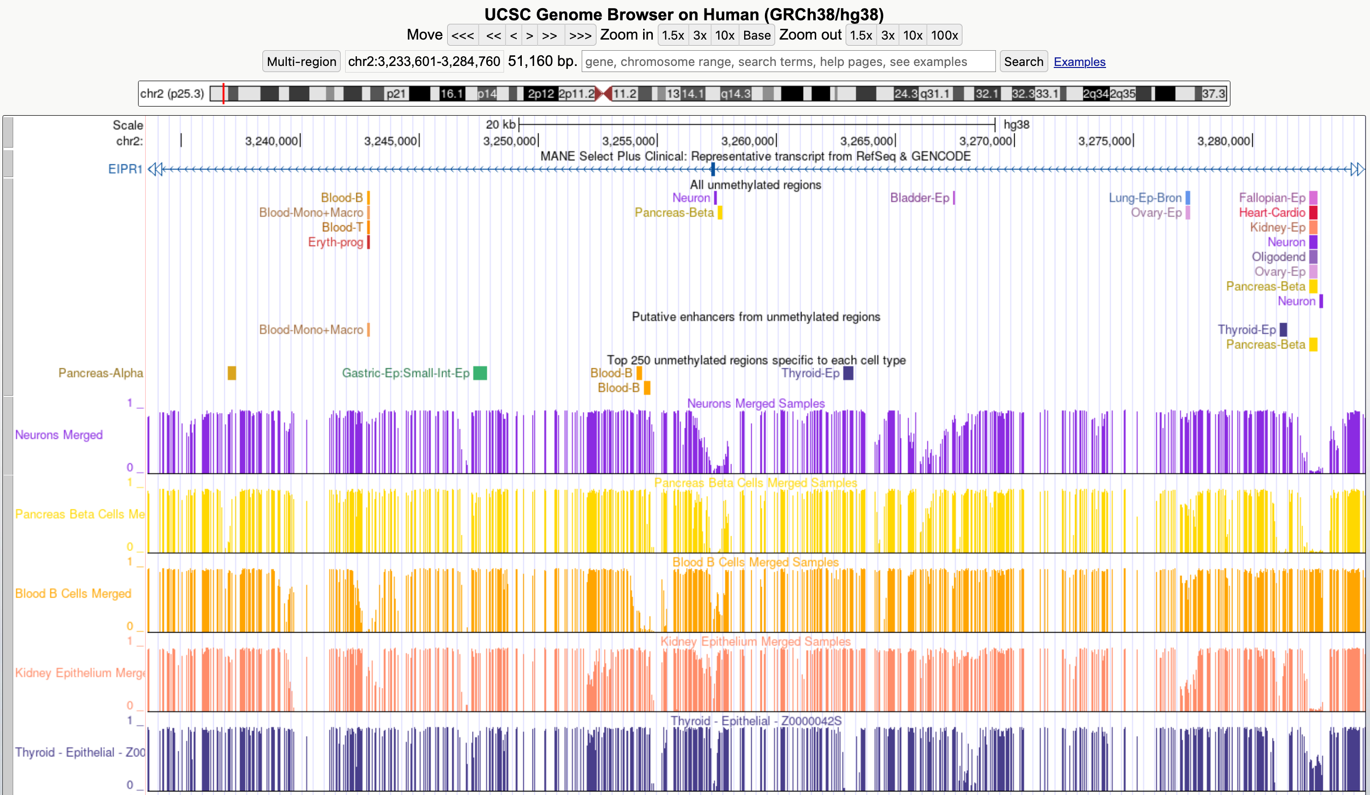 Example of cell-type specific
  unmethylated regions and methylation signals (hg38, chr2:3,233,601-3,284,760) for blood,
  neuronal, pancreatic, and thyroid cell types